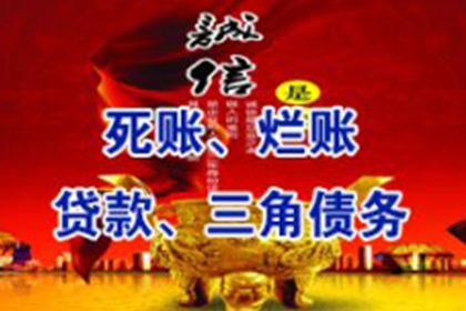 宝应收数公司